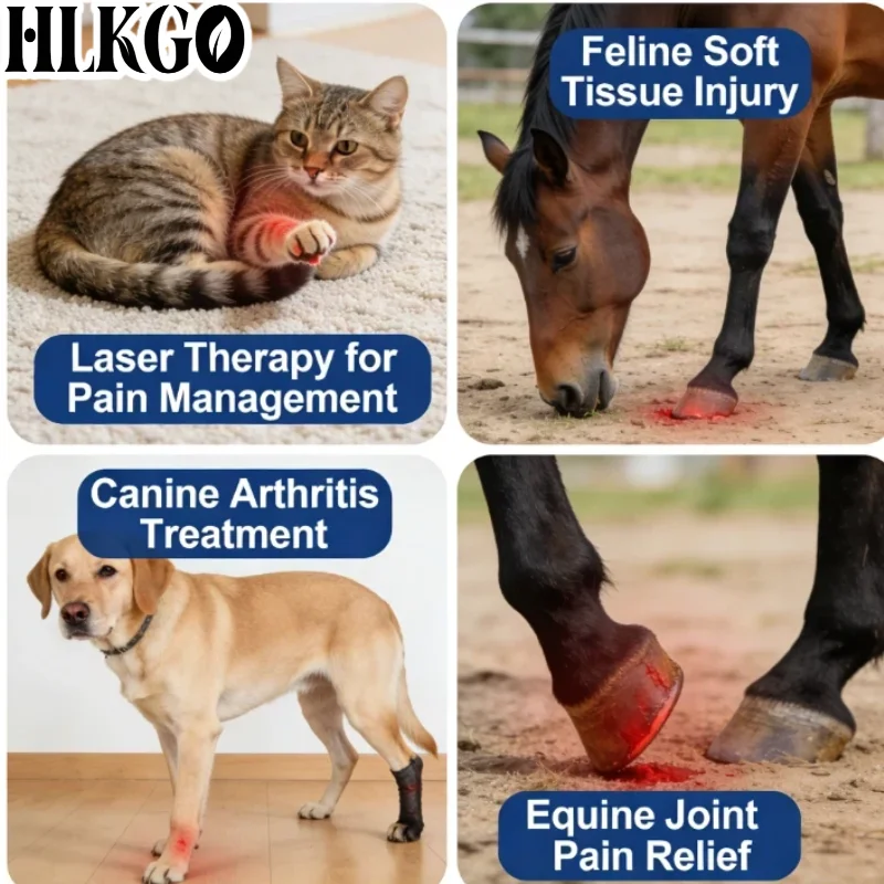 Клинический лазерный терапевтический аппарат с 25 диодами, 650 нм и 808 нм, красный и ближний инфракрасный свет для лечения боли в спине, мышечных растяжений и воспалений у людей и животных.
Клинический лазерный терапевтический аппарат с 25 диодами, 650 нм и 808 нм, красный и ближний инфракрасный свет для лечения боли в спине, мышечных растяжений и воспалений у людей и животных.