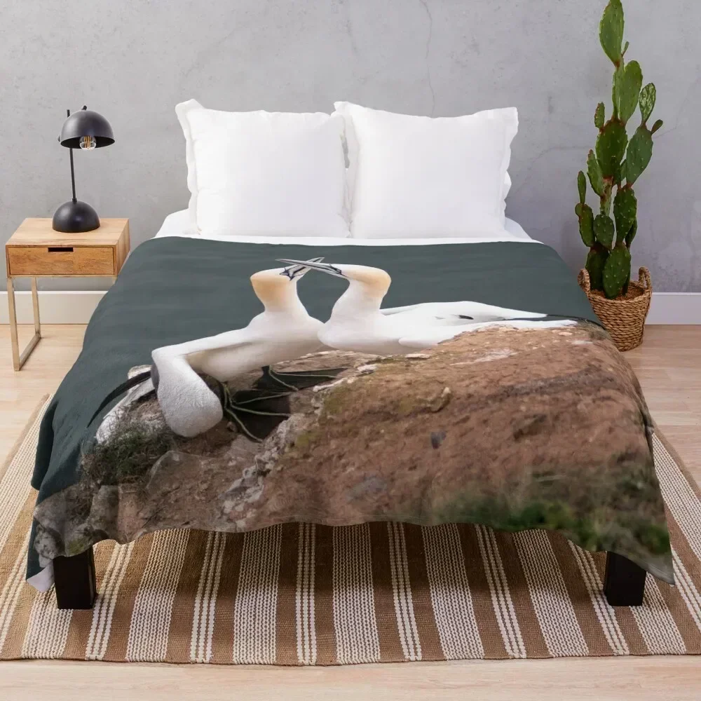 Pair of gannets Throw Blanket Sleeping Bag Vintage sofa bed Travel Blankets
Pair of gannets Throw Blanket Sleeping Bag Vintage sofa bed Travel Blankets