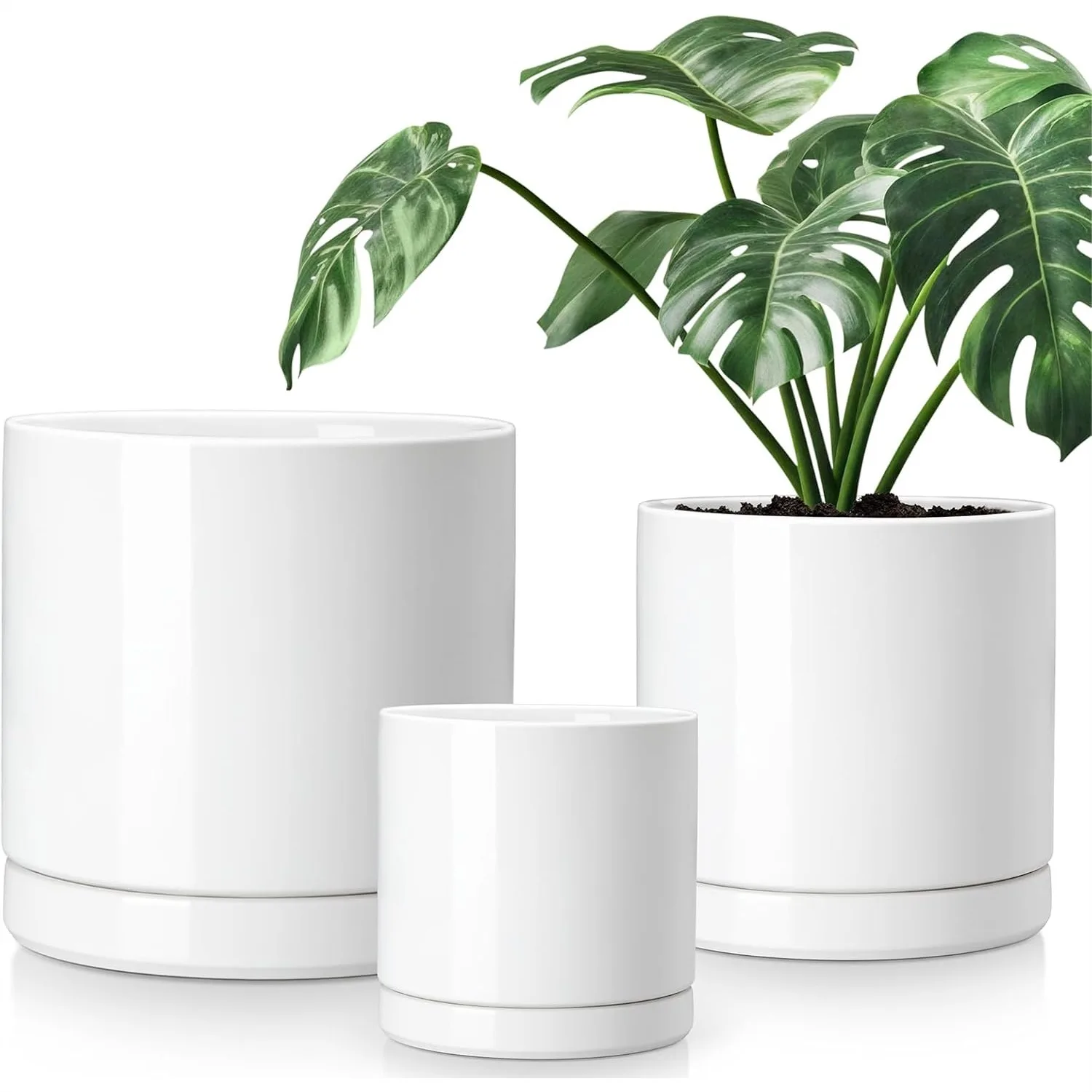 Ceramic Planters for Indoor Plants, Set of 3 with Drainage Holes and Trays, 6.25/8.25/10.25 Inch White Pots
Ceramic Planters for Indoor Plants, Set of 3 with Drainage Holes and Trays, 6.25/8.25/10.25 Inch White Pots