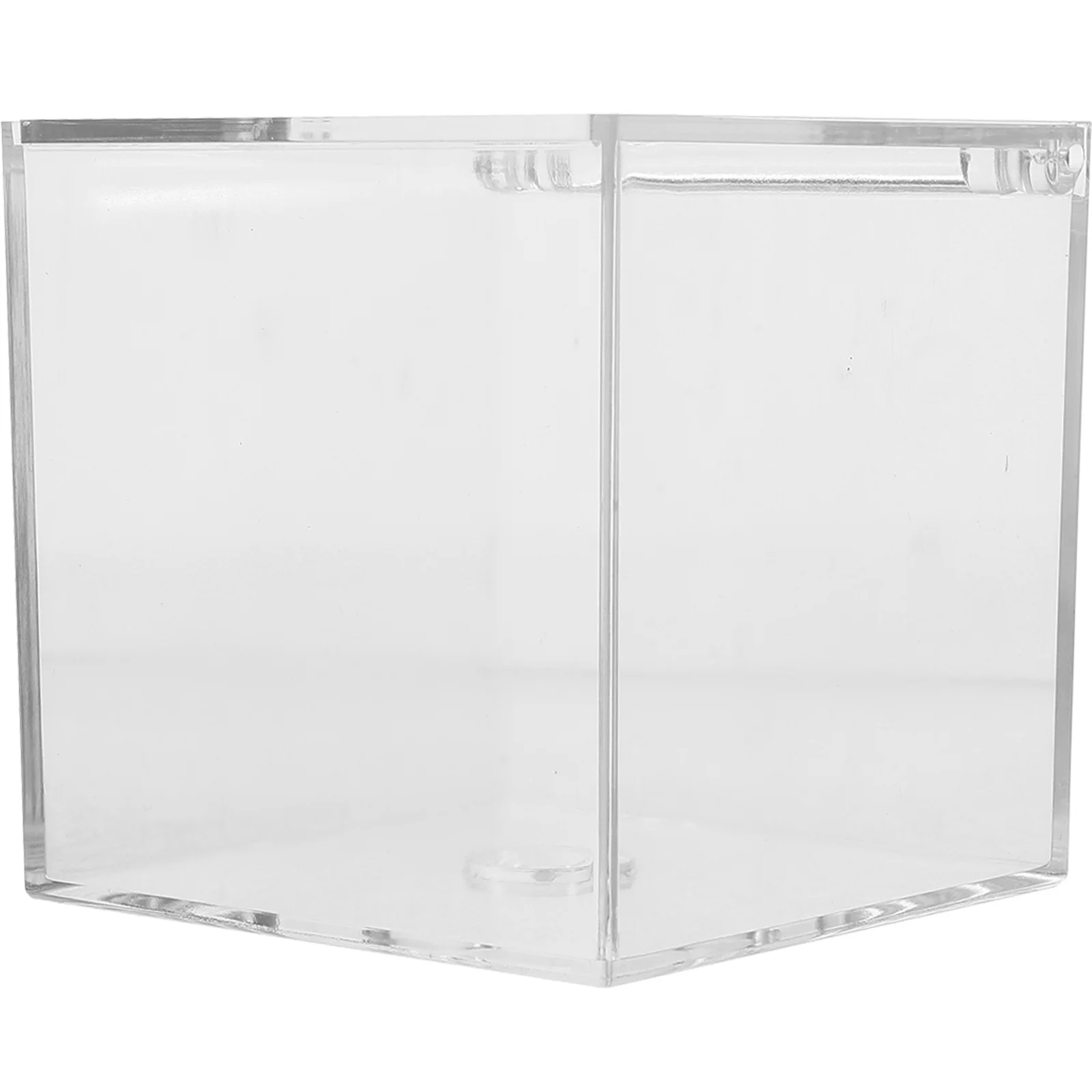 Acrylic Storage Box Clear Display Container Aesthetic Desk Accessories Transparent Organizer for DIY Micro Landscape Artwork
Acrylic Storage Box Clear Display Container Aesthetic Desk Accessories Transparent Organizer for DIY Micro Landscape Artwork