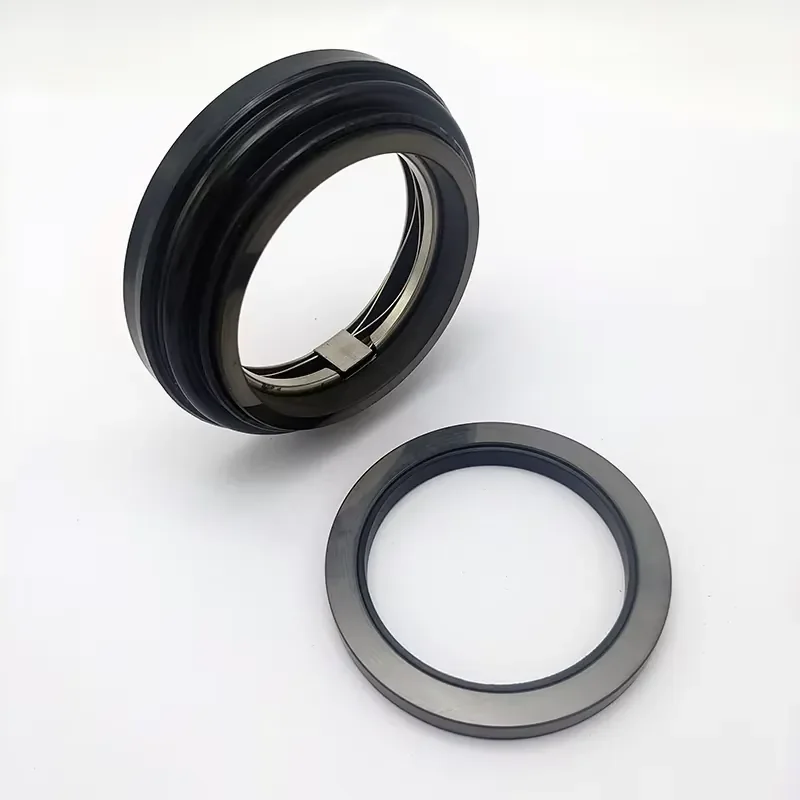 58mm GW85-130-20 AXIAL SEAL and MATTER IN85-130-20mm CAR/SIC/EPDM
58mm GW85-130-20 AXIAL SEAL and MATTER IN85-130-20mm CAR/SIC/EPDM