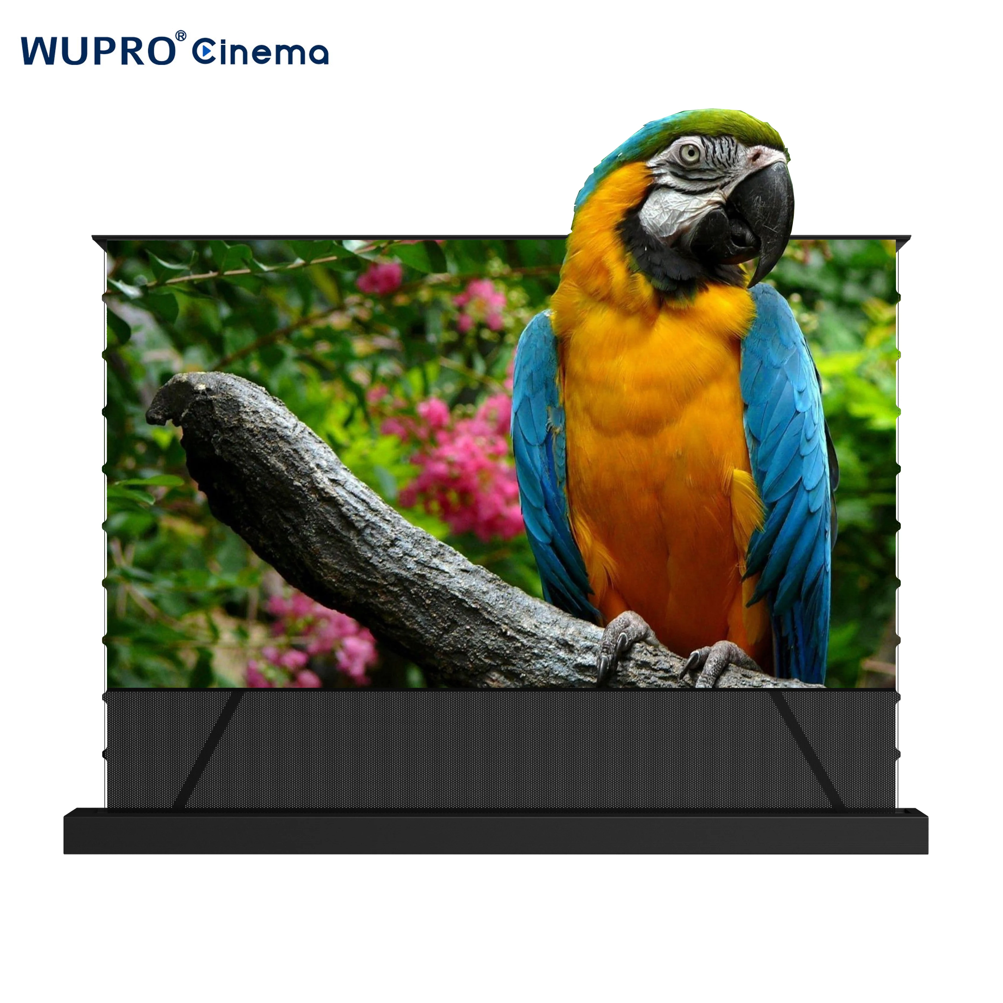 20252023 NEW 100/120inch WUPRO Patent Floor Rising Alr CLR Projector Screen Ust Motorized Smart Control 4K PET Alr Projection Sc
20252023 NEW 100/120inch WUPRO Patent Floor Rising Alr CLR Projector Screen Ust Motorized Smart Control 4K PET Alr Projection Sc