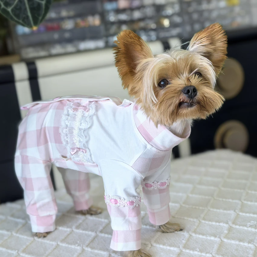 Classic Pink Grid Jumpsutis Puppy Clothing Home Wear Spring Autumn Thin Cotton Rompers For Small Medium Dog Pet Clothes Poodle 
Classic Pink Grid Jumpsutis Puppy Clothing Home Wear Spring Autumn Thin Cotton Rompers For Small Medium Dog Pet Clothes Poodle