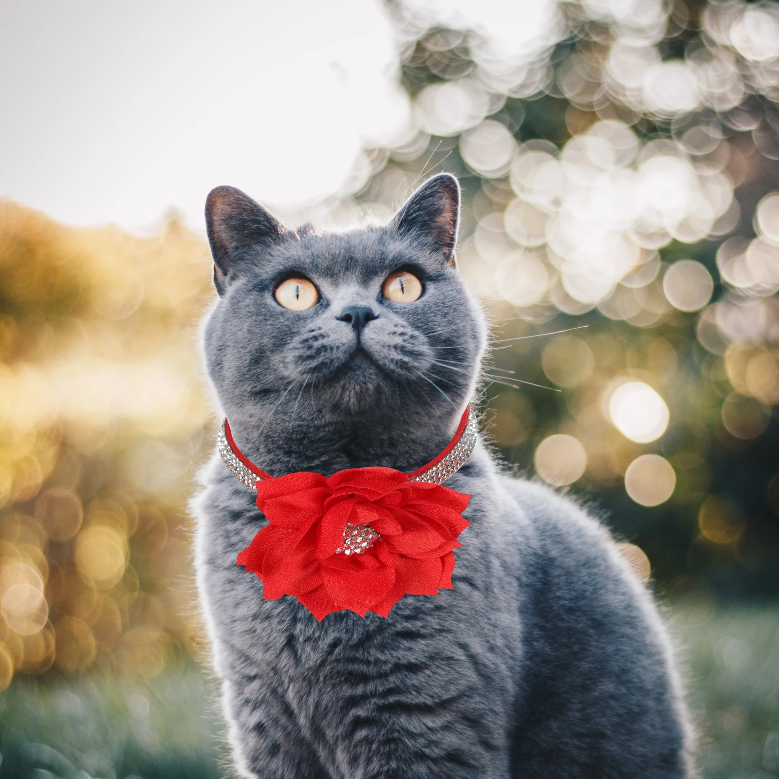 Rhinestone Cat Necklace Daily Wear Pet Collar Adjustable Puppy Dog for Dogs Large Comfortable Small Velvet Holiday Collars
Rhinestone Cat Necklace Daily Wear Pet Collar Adjustable Puppy Dog for Dogs Large Comfortable Small Velvet Holiday Collars