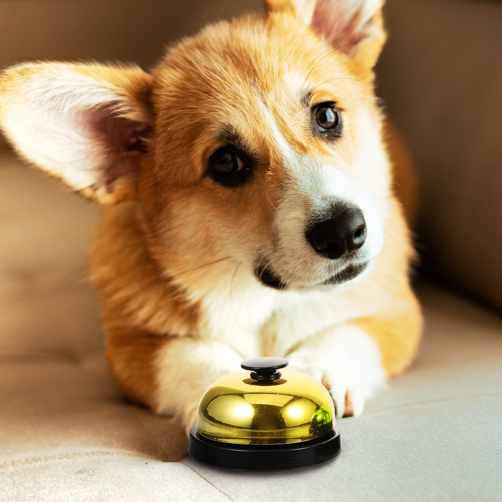 3 Pcs Dog Training Bells Puppy Potty Programmable Indoor Pet Flat Button Loud Sound Household Pets Accessories Door
3 Pcs Dog Training Bells Puppy Potty Programmable Indoor Pet Flat Button Loud Sound Household Pets Accessories Door