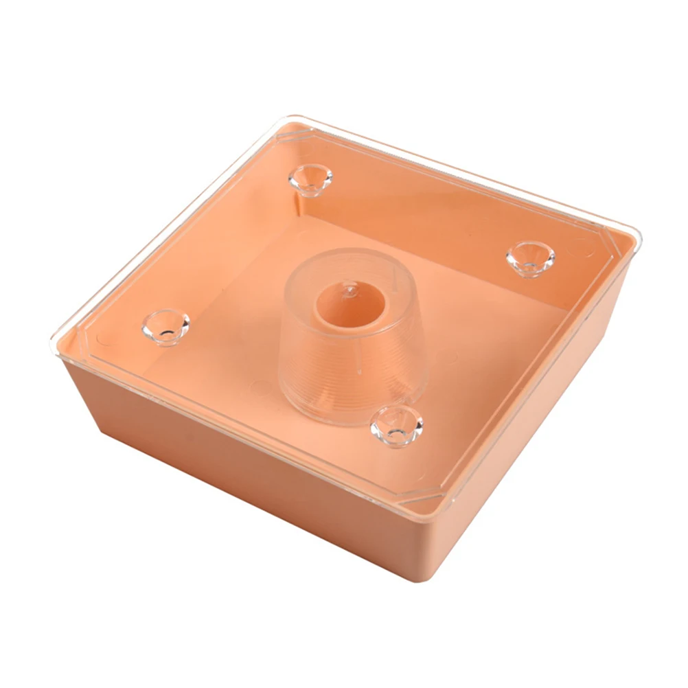 Beehive Feeder Bee Feeding Bowl Plastic Material Safe Durable Watering Station Beekeeping Tools Accessories Bee Food Dish Easy
Beehive Feeder Bee Feeding Bowl Plastic Material Safe Durable Watering Station Beekeeping Tools Accessories Bee Food Dish Easy