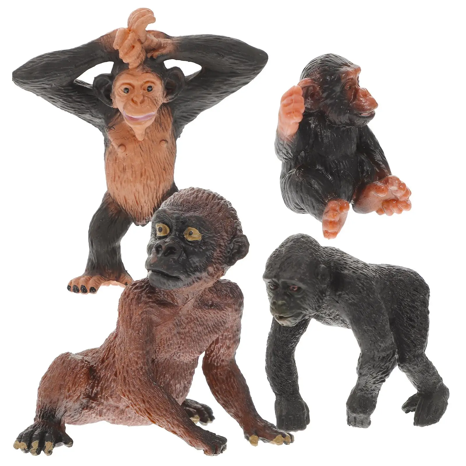Monkey Toys Orangutan Model Imitation Animal Wildlife Cognitive Toddler Figures Kids
Monkey Toys Orangutan Model Imitation Animal Wildlife Cognitive Toddler Figures Kids