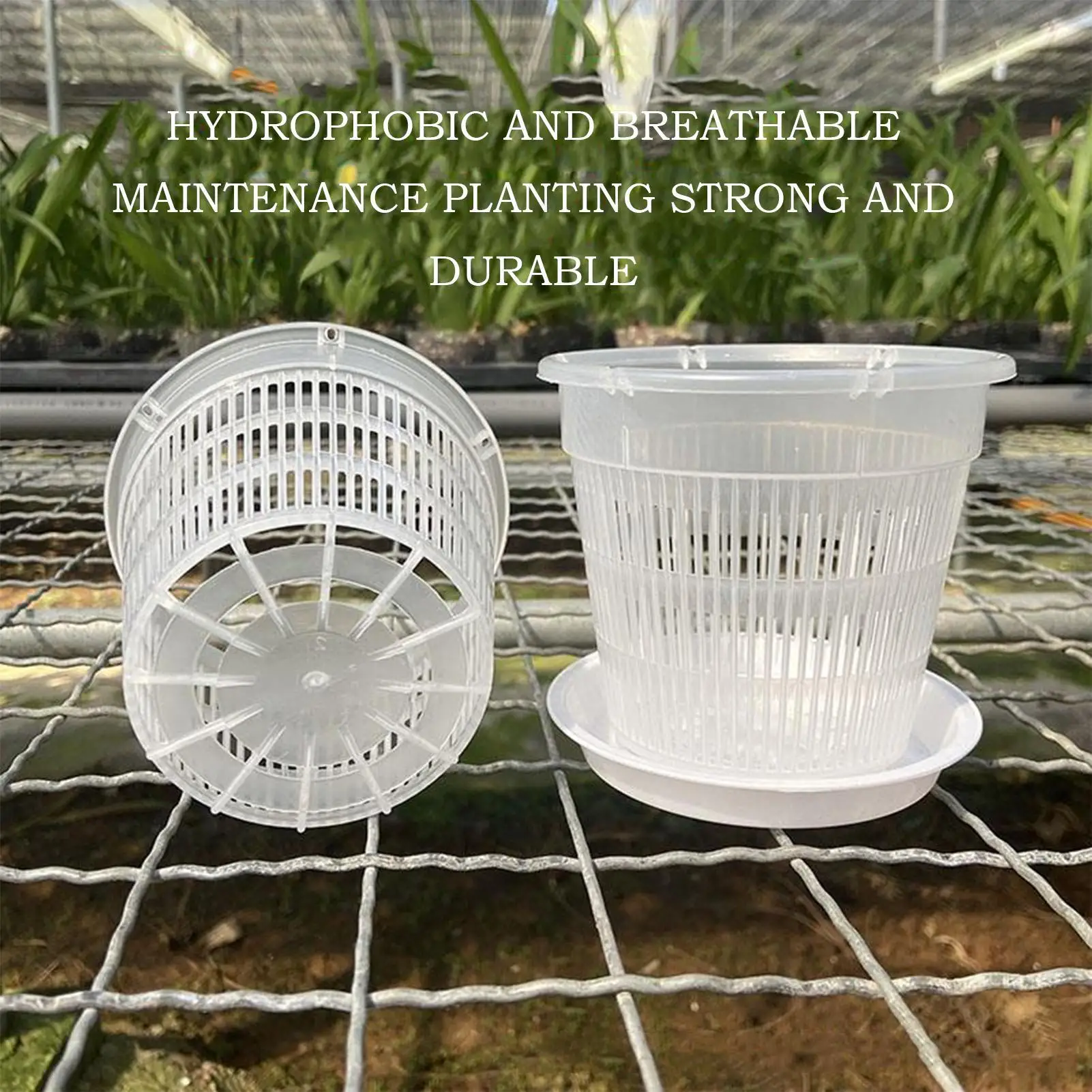 Breathable Growth Container Drainage Hole Orchid Pot Breathable Hollow Flower Pot for Household
Breathable Growth Container Drainage Hole Orchid Pot Breathable Hollow Flower Pot for Household