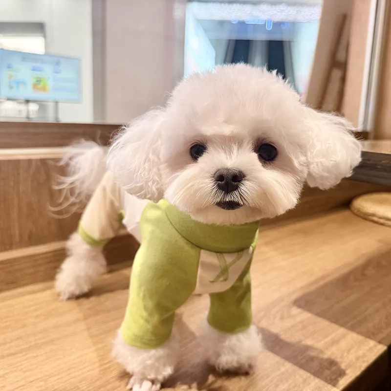 Spring Autumn Puppy Dog Home Wear Fashion Casual Sport Clothing Four Feets Jumpsuits For Small Medium Dog Poodle Pet Clothes
Spring Autumn Puppy Dog Home Wear Fashion Casual Sport Clothing Four Feets Jumpsuits For Small Medium Dog Poodle Pet Clothes