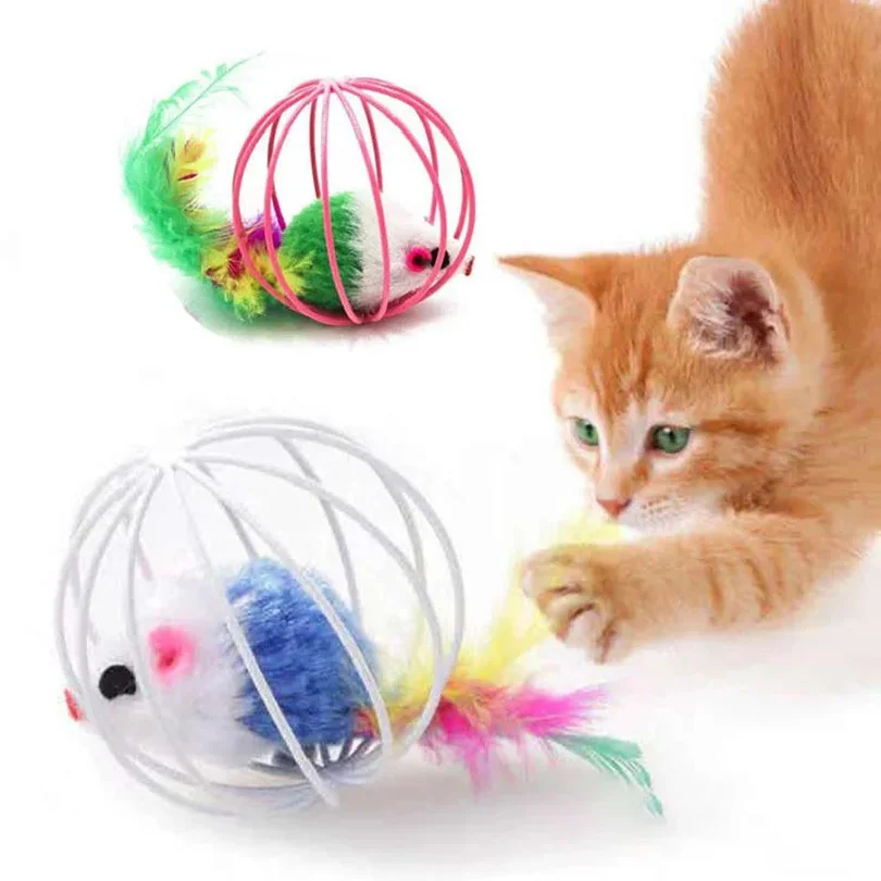 Popular Colorful Mouse in Cage Cat Toy Within Sand Interactive Chase Cat Mouse Toy color random
Popular Colorful Mouse in Cage Cat Toy Within Sand Interactive Chase Cat Mouse Toy color random