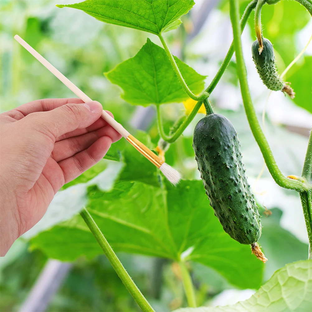 10Pcs Reusable Pollination Pen Soft Wool Material Even Distribution Fruits Vegetables Flowers Indoor Outdoor Gardening
10Pcs Reusable Pollination Pen Soft Wool Material Even Distribution Fruits Vegetables Flowers Indoor Outdoor Gardening