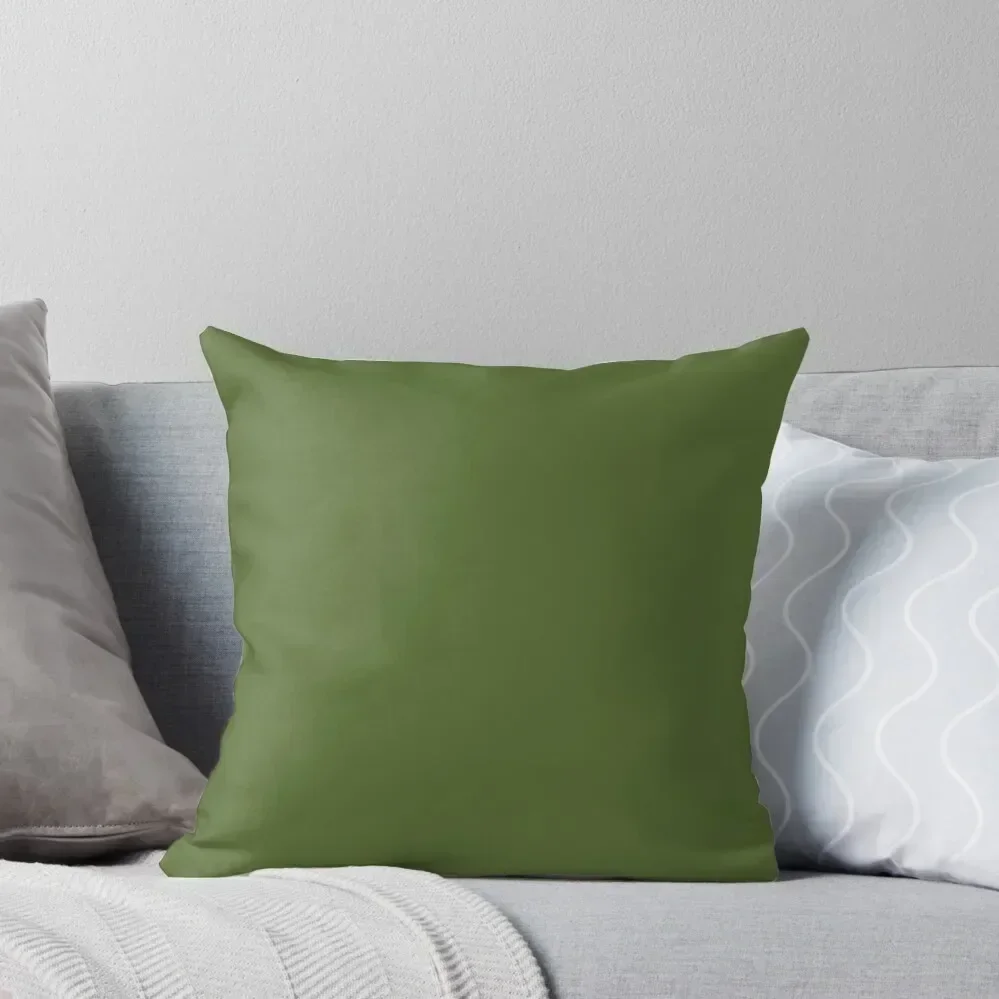 SOLID PLAIN DARK OLIVE GREEN - OVER 100 SHADES OF GREEN ON OZCUSHIONS Throw Pillow Christmas Pillow Cases pillow
SOLID PLAIN DARK OLIVE GREEN - OVER 100 SHADES OF GREEN ON OZCUSHIONS Throw Pillow Christmas Pillow Cases pillow