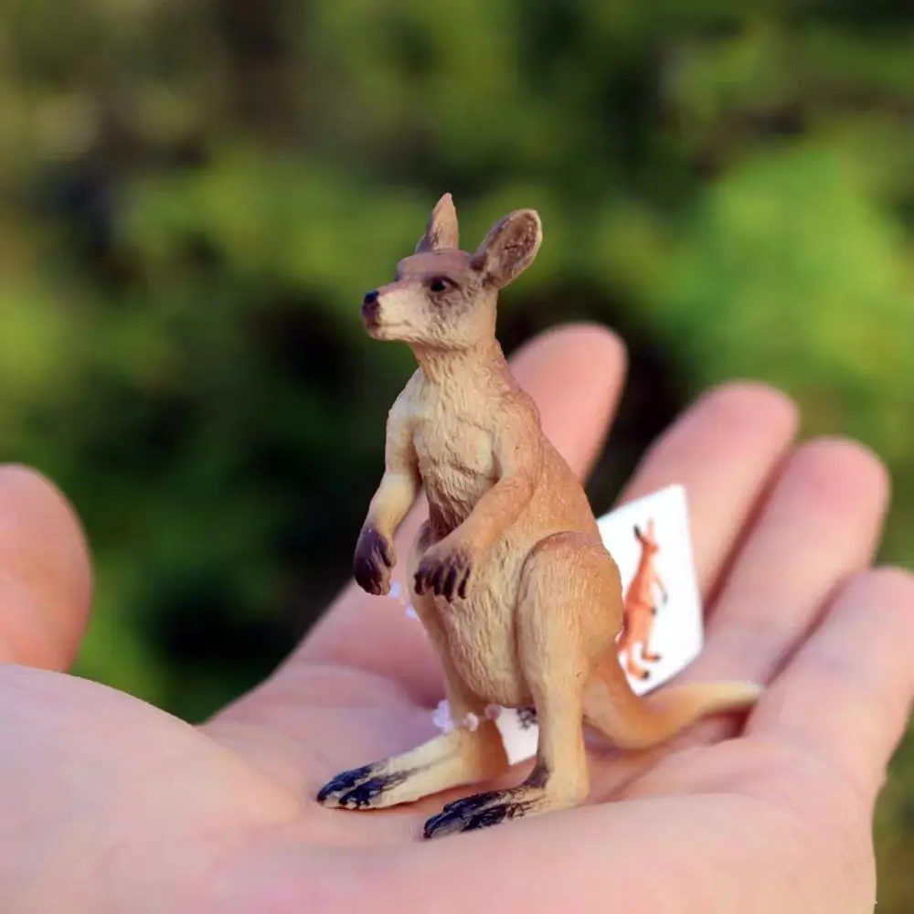 PVC Simulated Wildlife Model Statue Handmad Kangaroo Action Figures Ornament Cartoon Simulated Wild Kangaroo Figurines
PVC Simulated Wildlife Model Statue Handmad Kangaroo Action Figures Ornament Cartoon Simulated Wild Kangaroo Figurines