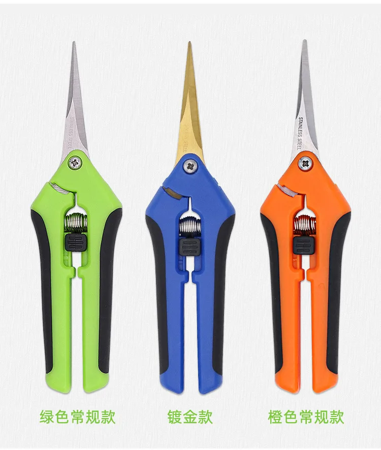 2 Pcs Stainless Steel Fruit Branch Scissors Gardening Flower Arrangement Orchard Pruning Multi-purpose Gardening Scissors jardín
2 Pcs Stainless Steel Fruit Branch Scissors Gardening Flower Arrangement Orchard Pruning Multi-purpose Gardening Scissors jardín
