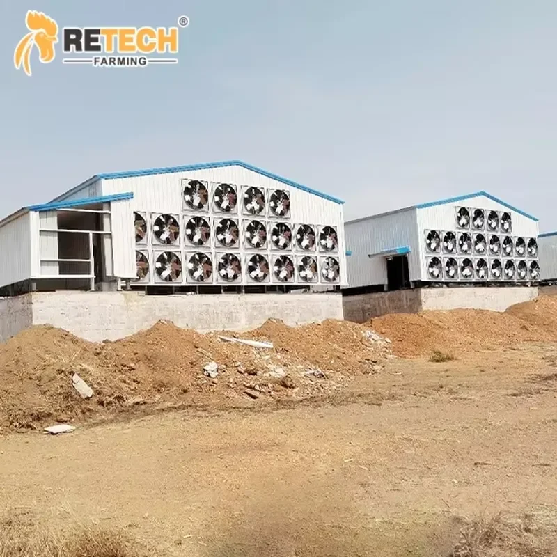 Automatic 3-Tier Layer Battery Cage Equipment with Ventilation System for Poultry Farm for Intelligent Layer
Automatic 3-Tier Layer Battery Cage Equipment with Ventilation System for Poultry Farm for Intelligent Layer