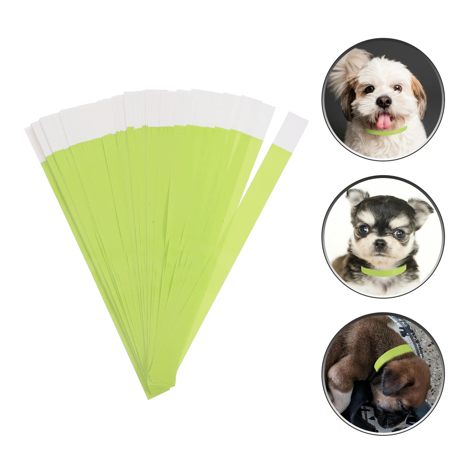 100 Pcs Pet Tag Collar Dog Identification Tags Disposable Name for Light Green Collars with Newborn
100 Pcs Pet Tag Collar Dog Identification Tags Disposable Name for Light Green Collars with Newborn