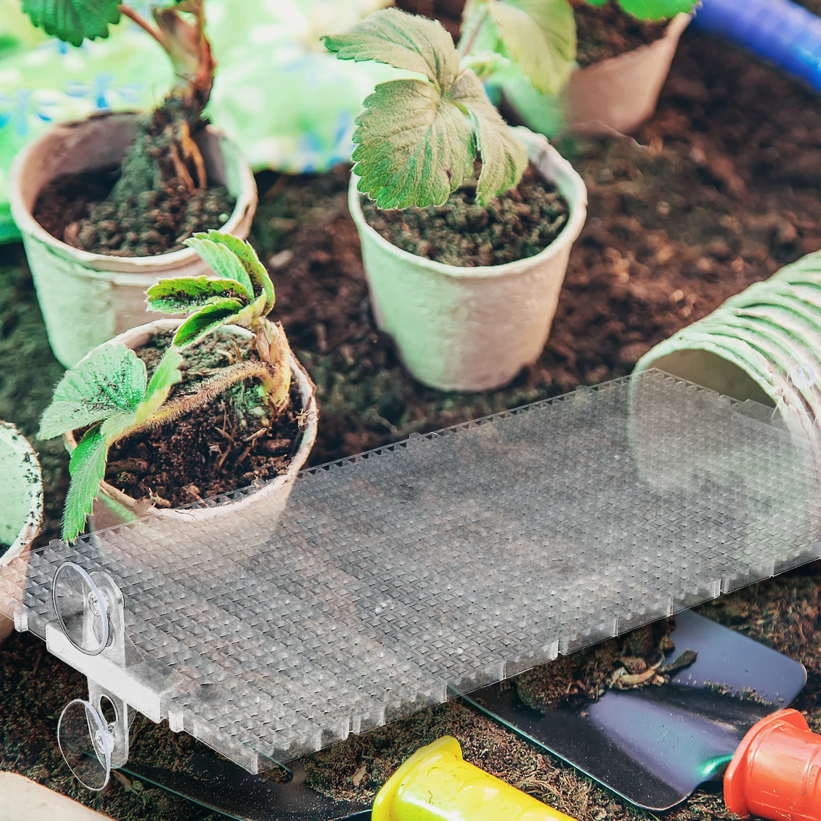 1Set Planter Base Tray Dense Translucent Grid Panel for Healthy Plant Growth with Clips Foot Pads Elevated Design for Balcony
1Set Planter Base Tray Dense Translucent Grid Panel for Healthy Plant Growth with Clips Foot Pads Elevated Design for Balcony
