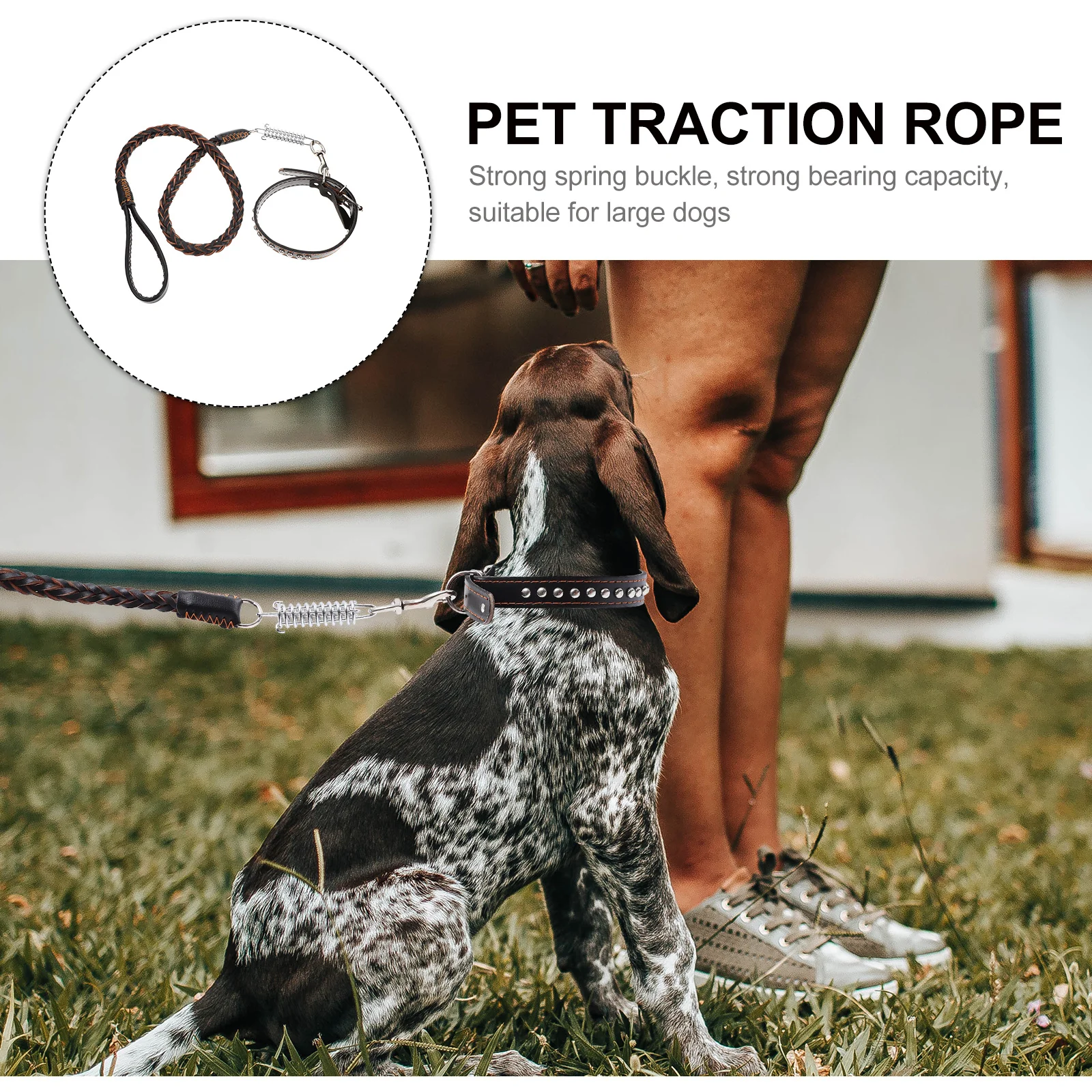 1 set 1 Set Medium Size Dog Leash Premium Pet Walking Rope Durable Traction For Large Dogs Outdoor Training Jogging
1 set 1 Set Medium Size Dog Leash Premium Pet Walking Rope Durable Traction For Large Dogs Outdoor Training Jogging