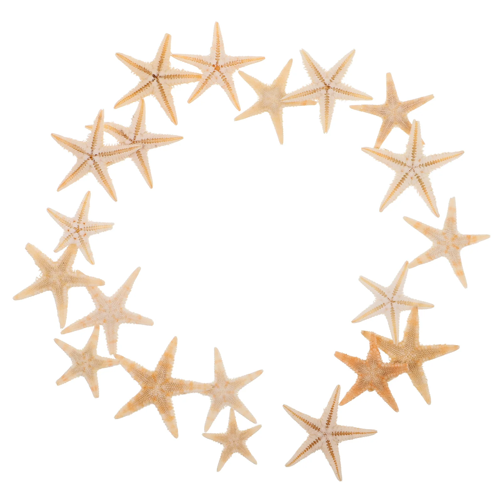 20 Pcs Sea Star Decorations Sea Star for Making Beach Theme Dripping Decoration Natural naments Ocean Projects
20 Pcs Sea Star Decorations Sea Star for Making Beach Theme Dripping Decoration Natural naments Ocean Projects