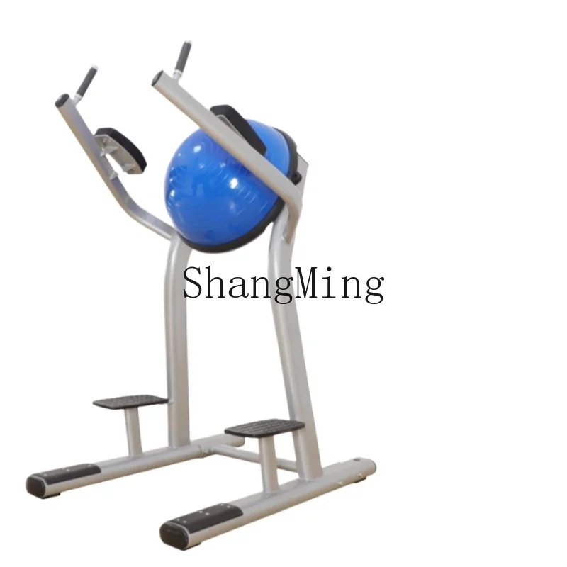HJ Parallel Bar Knee Lift Trainer Curl Hemisphere Backrest Training Household Commercial Knee Lift Fitness Shaping
HJ Parallel Bar Knee Lift Trainer Curl Hemisphere Backrest Training Household Commercial Knee Lift Fitness Shaping