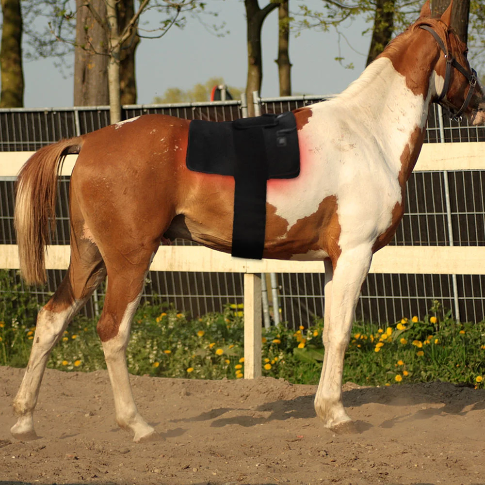 Equestrian Red Light Therapy 660nm 850nm Pad Horse Rug Whole Body Horse Red Light Equine Light Therapy Blanket
Equestrian Red Light Therapy 660nm 850nm Pad Horse Rug Whole Body Horse Red Light Equine Light Therapy Blanket