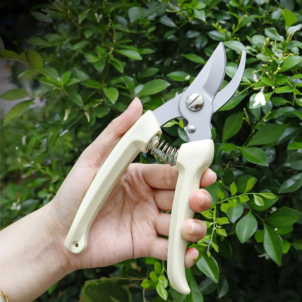 Professional Stainless Steel Effortless Gardening Pruning Tools for Cutting Fruits, Branches, Flowers, Bonsai Plants
Professional Stainless Steel Effortless Gardening Pruning Tools for Cutting Fruits, Branches, Flowers, Bonsai Plants