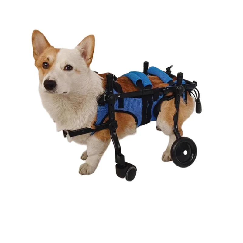 electric scooters, elderly dogs, disabled paralyzed front and rear limbs, four-wheel mobility scooters
electric scooters, elderly dogs, disabled paralyzed front and rear limbs, four-wheel mobility scooters