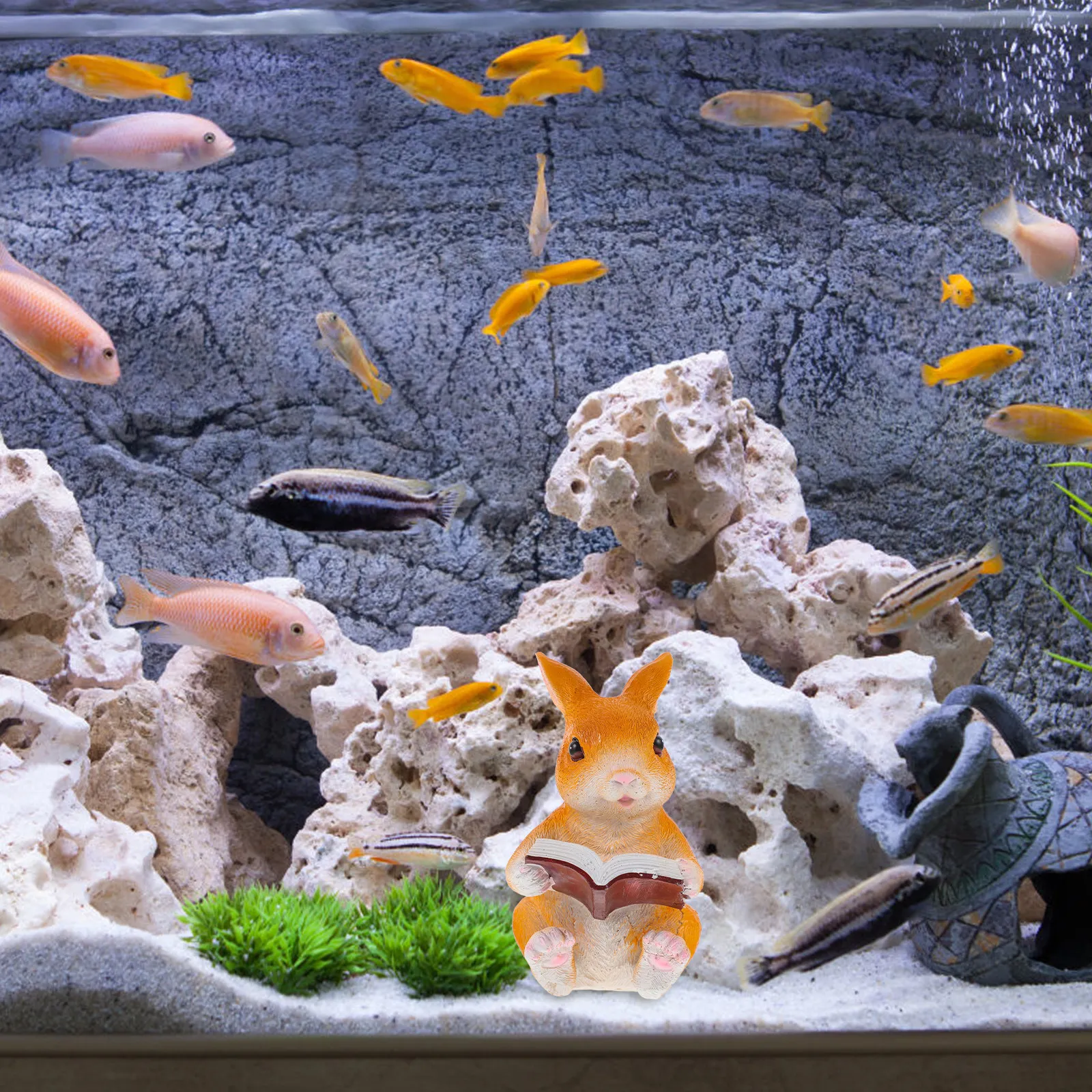 Декоративная фигурка кролика из смолы для аквариума: красивое, красочное украшение для пресноводных и морских аквариумов, безопасно для рыб, простое в установке.
Декоративная фигурка кролика из смолы для аквариума: красивое, красочное украшение для пресноводных и морских аквариумов, безопасно для рыб, простое в установке.
