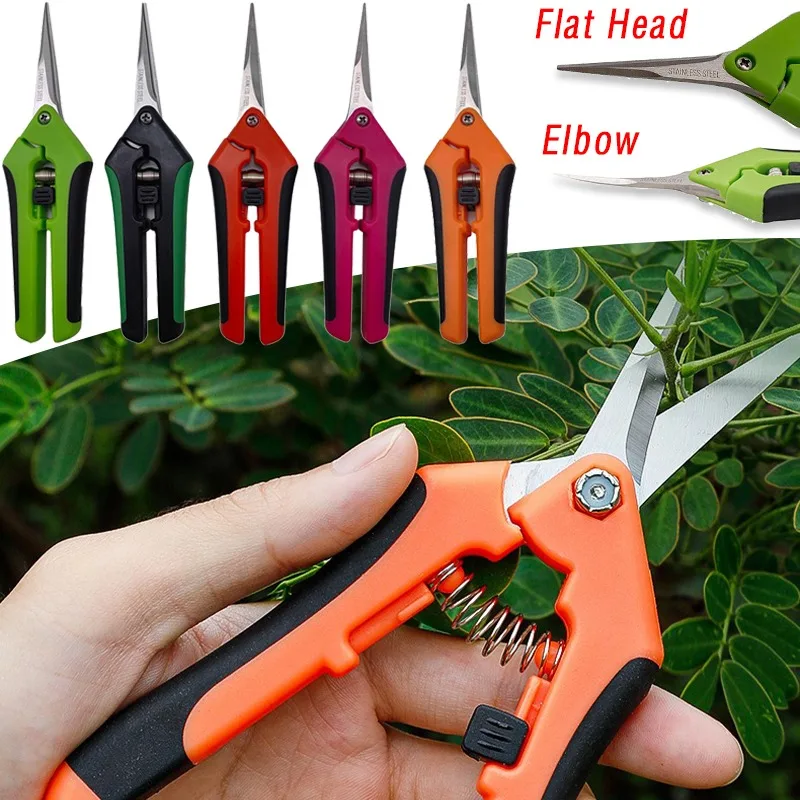 Garden Stainless Steel Gardening Shears Flower Scissors Fruit Grape Thinning Pruning Shears Elbow Straight Gardening Scissors
Garden Stainless Steel Gardening Shears Flower Scissors Fruit Grape Thinning Pruning Shears Elbow Straight Gardening Scissors