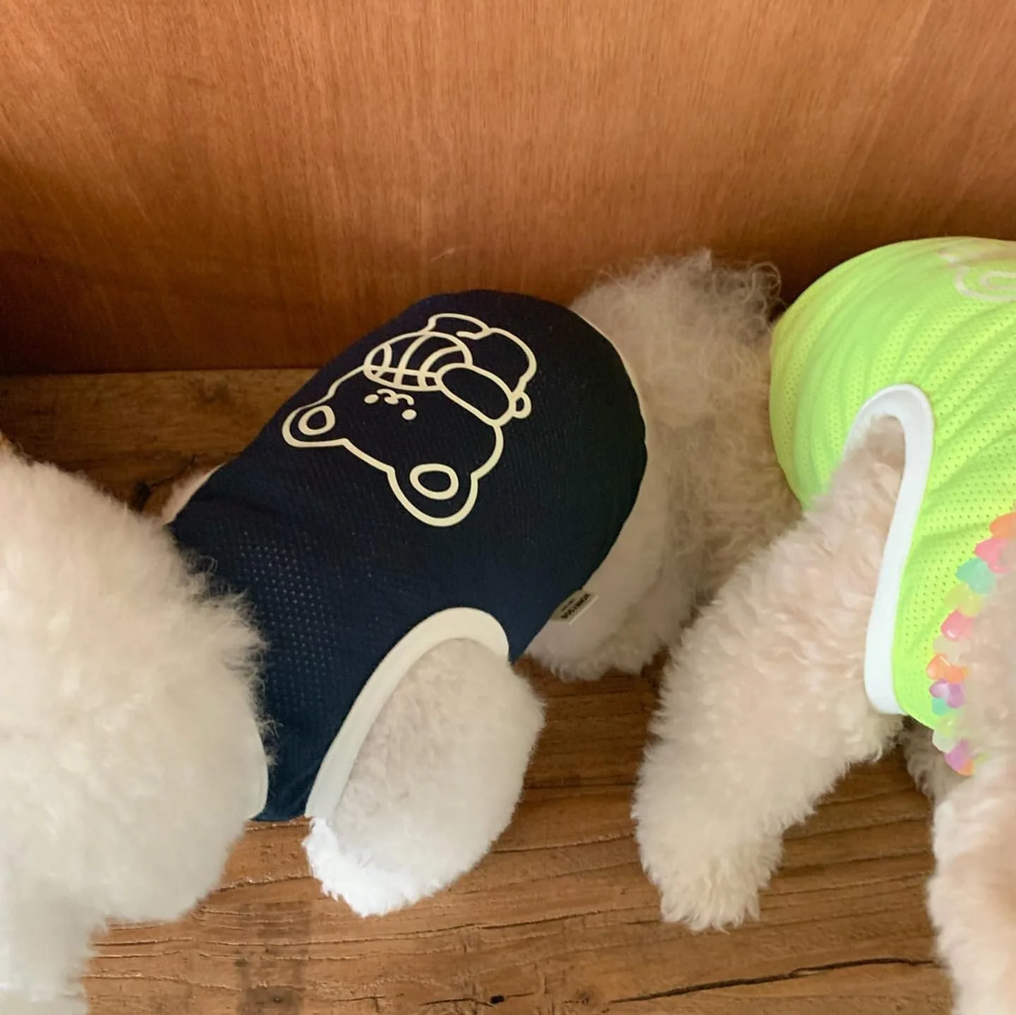 Puppy Mesh Clothes Summer Pet Bug Proof Vest Teddy Sports T-Shirt Bichon Frise Basketball Sleeveless Clothes
Puppy Mesh Clothes Summer Pet Bug Proof Vest Teddy Sports T-Shirt Bichon Frise Basketball Sleeveless Clothes