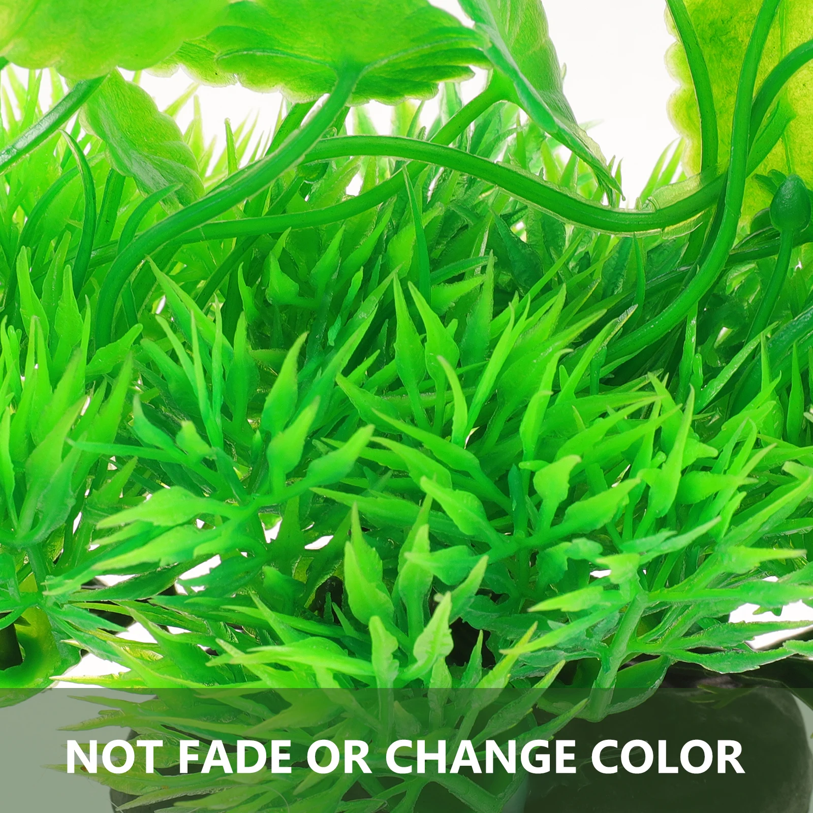 Artificial Plastic Aquarium Plants For Fish Tank Decorations Landscape Reptile Terrarium Supplies Fake Plants Aquarium
Artificial Plastic Aquarium Plants For Fish Tank Decorations Landscape Reptile Terrarium Supplies Fake Plants Aquarium