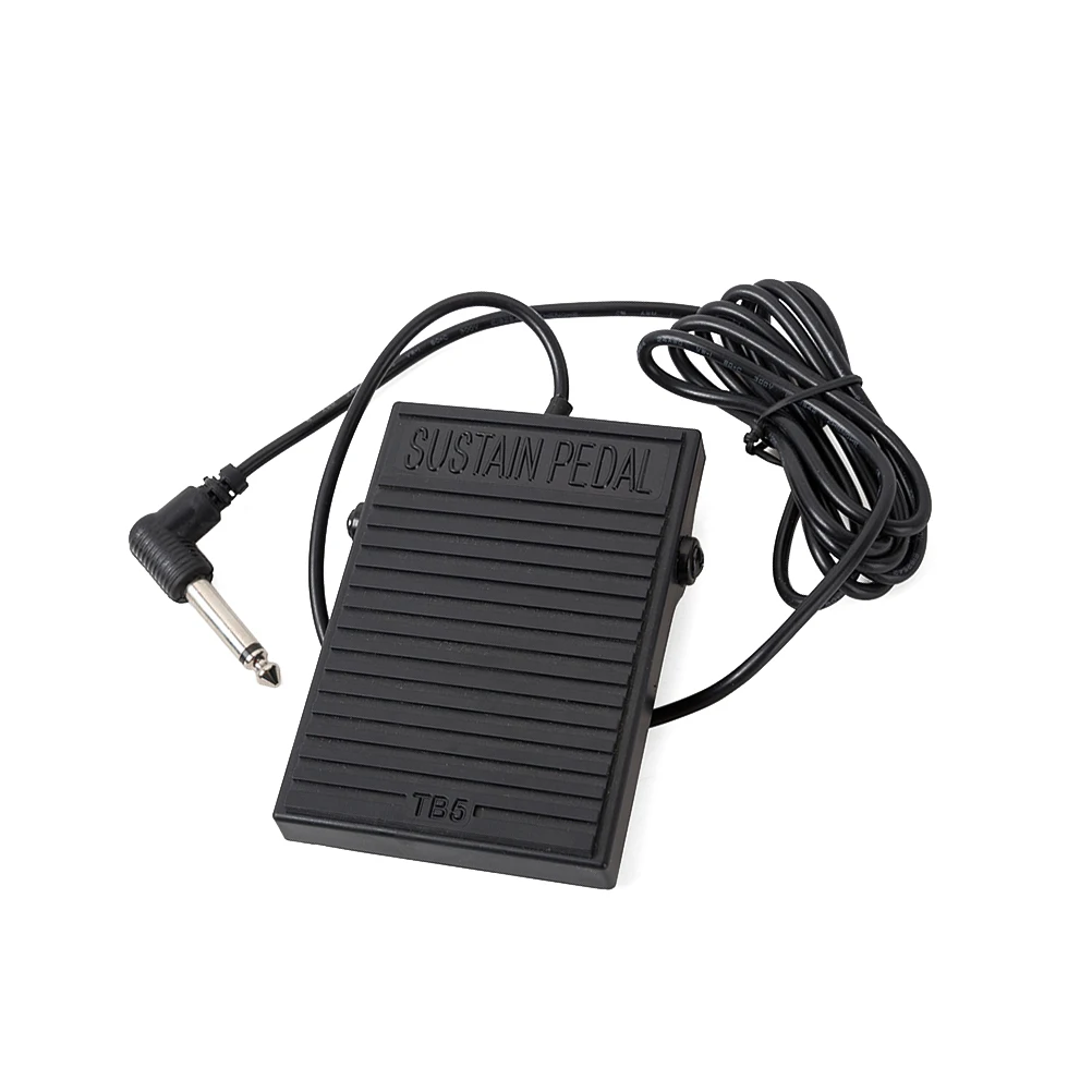 Universal Sustain Pedal Compact Sturdy Controller Switch for Electronic Keyboard Musical Instrument All Ages Foot Piano
Universal Sustain Pedal Compact Sturdy Controller Switch for Electronic Keyboard Musical Instrument All Ages Foot Piano