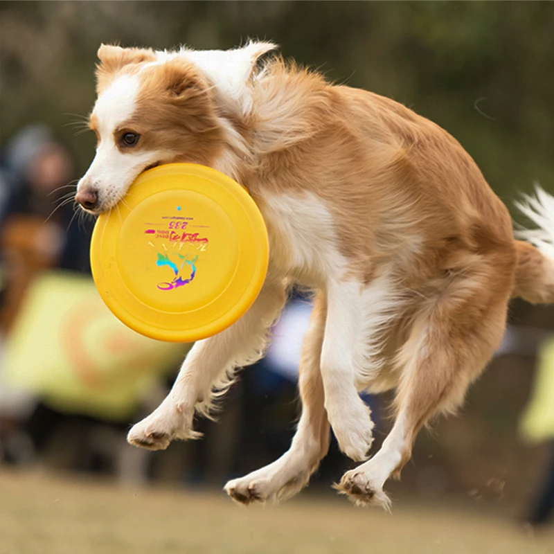 Professional Disc Dog Durable Chew Resistant Competition Level Training Toy for Border Collies Golden Retrievers
Professional Disc Dog Durable Chew Resistant Competition Level Training Toy for Border Collies Golden Retrievers