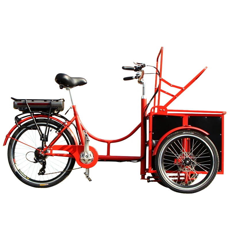 Stroller Trike Kits 3 Wheel Cargo Bike for Carrying Kids and Pets
Stroller Trike Kits 3 Wheel Cargo Bike for Carrying Kids and Pets