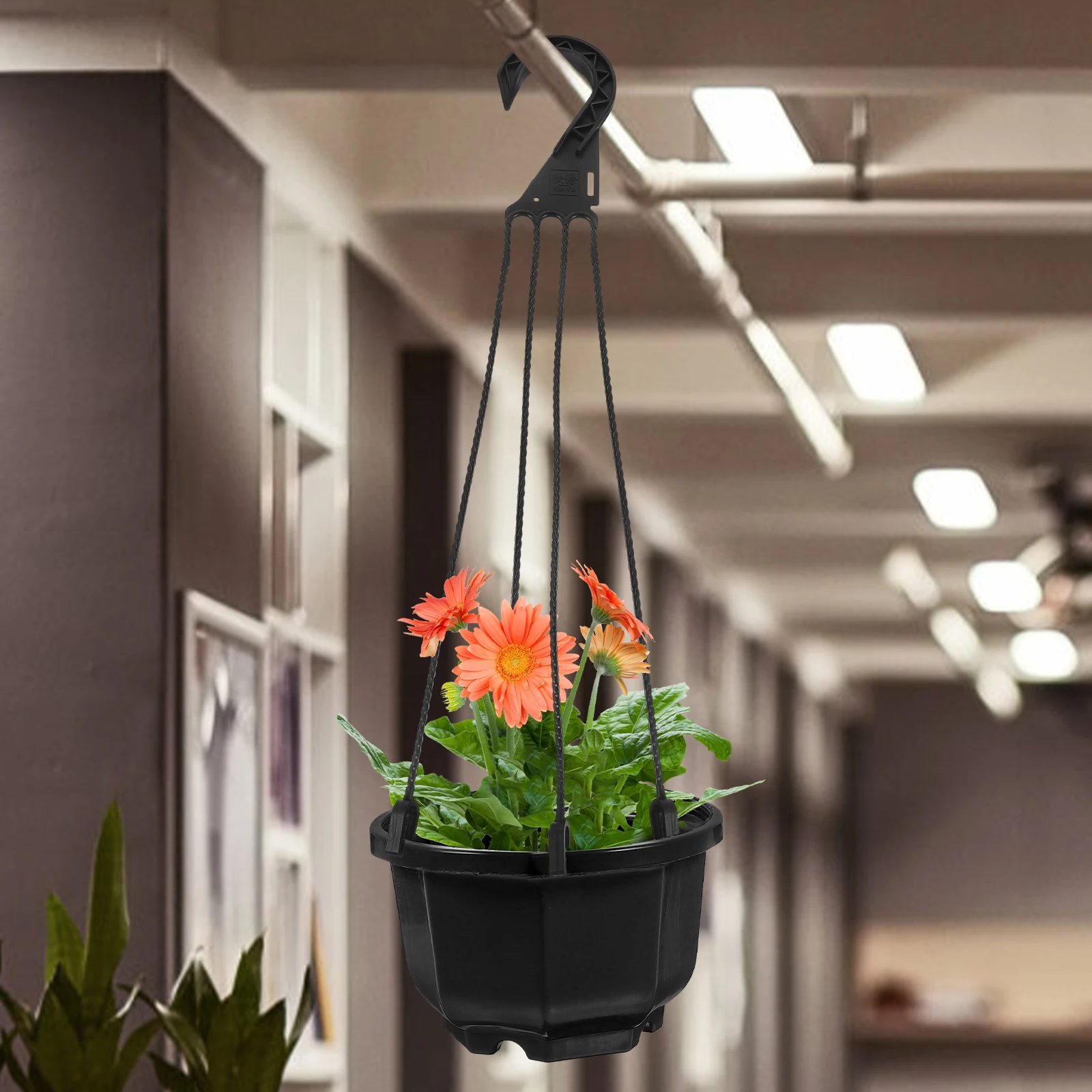 5pcs Hanging Flowerpot Plant Hooks Wall Plastic Rack Short Hanger Sturdy Portable Practical 360 Rotatable Hooks
5pcs Hanging Flowerpot Plant Hooks Wall Plastic Rack Short Hanger Sturdy Portable Practical 360 Rotatable Hooks