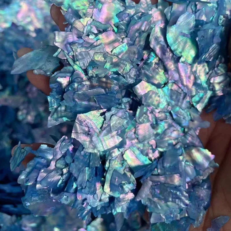 5g/Pack Natural Abalone Shell Design Art Ornaments Irregular Holographic Nail Glitter Slices 3D Decal Parts Nail Art Accessories
5g/Pack Natural Abalone Shell Design Art Ornaments Irregular Holographic Nail Glitter Slices 3D Decal Parts Nail Art Accessories