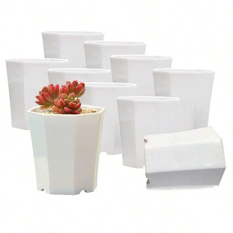 10pcs Octagonal Flowerpot Black White Plastic Solid Small Seedling Pot Desktop Succulent Decoration Combination Breathable TMZ
10pcs Octagonal Flowerpot Black White Plastic Solid Small Seedling Pot Desktop Succulent Decoration Combination Breathable TMZ