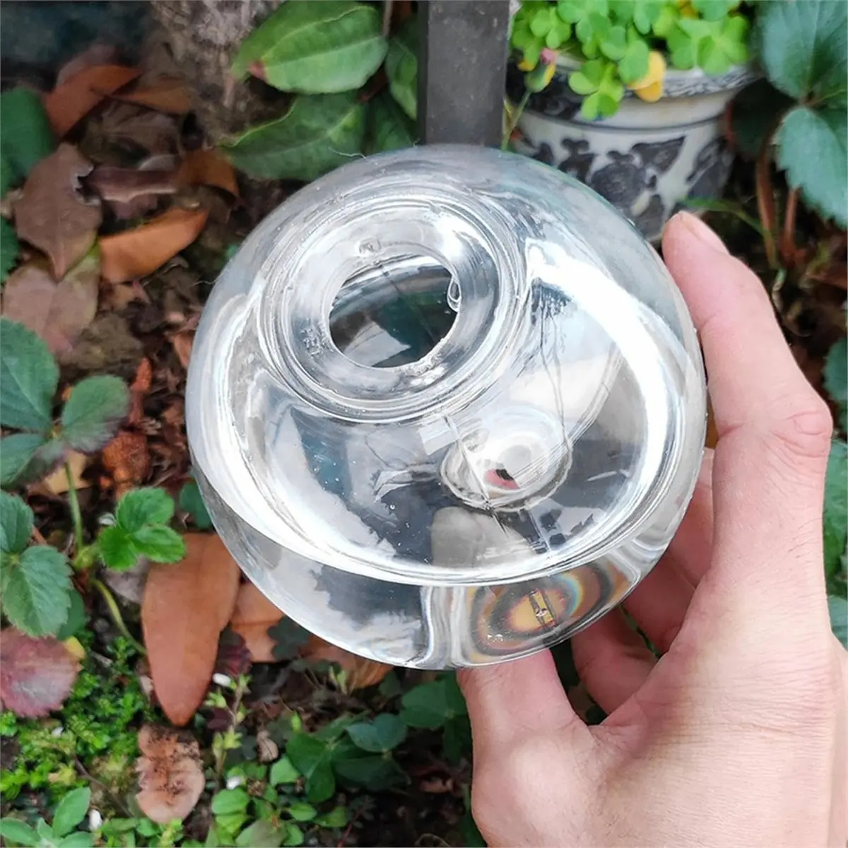 Time Saving Automatic Drip Irrigation System 500ML Self Watering Plant Watering Bulbs for Garden Flower Plants Watering Balls 6p
Time Saving Automatic Drip Irrigation System 500ML Self Watering Plant Watering Bulbs for Garden Flower Plants Watering Balls 6p