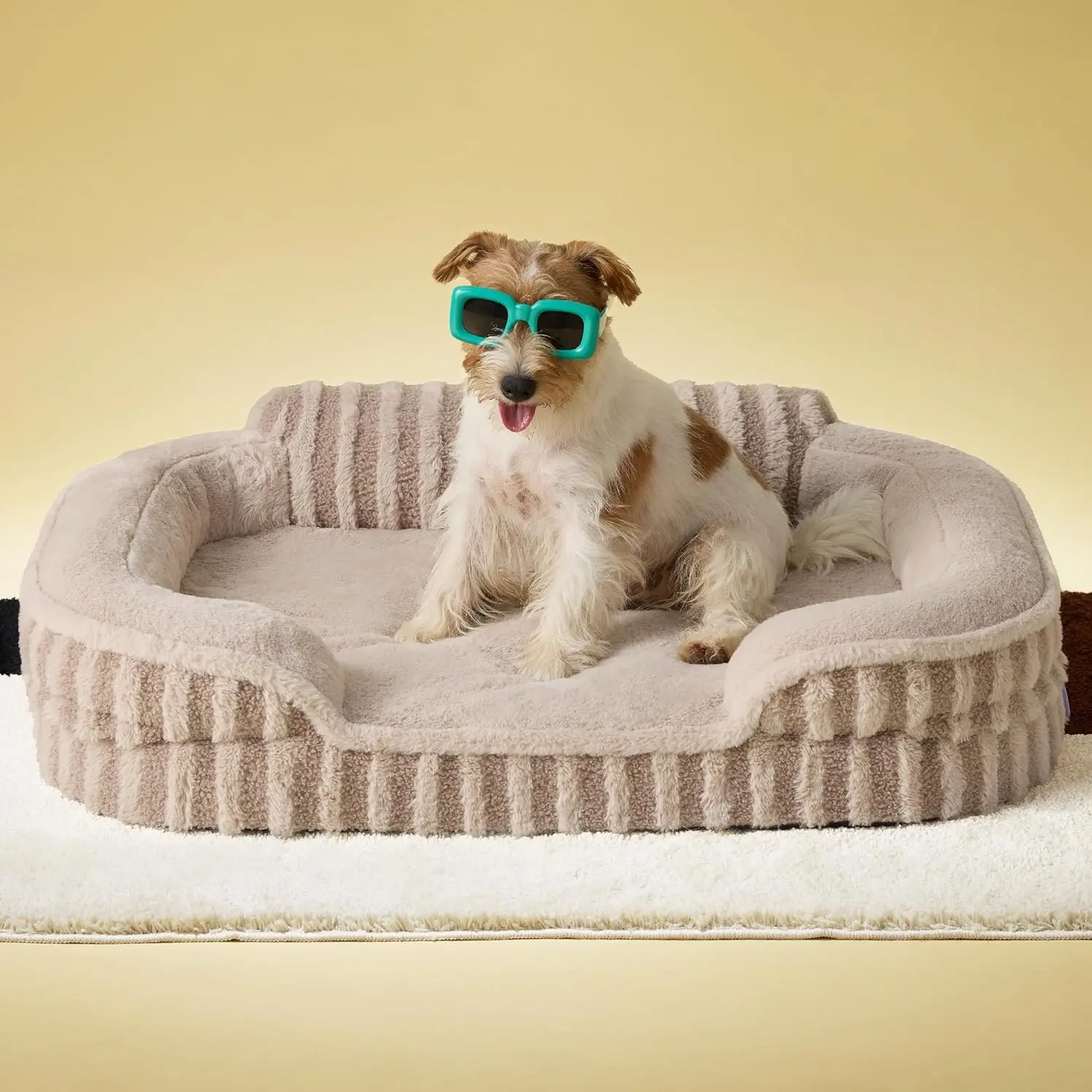 Medium Orthopedic Dog Bed with Waterproof Liner, High Back Support and Washable Cover for Comfort
Medium Orthopedic Dog Bed with Waterproof Liner, High Back Support and Washable Cover for Comfort