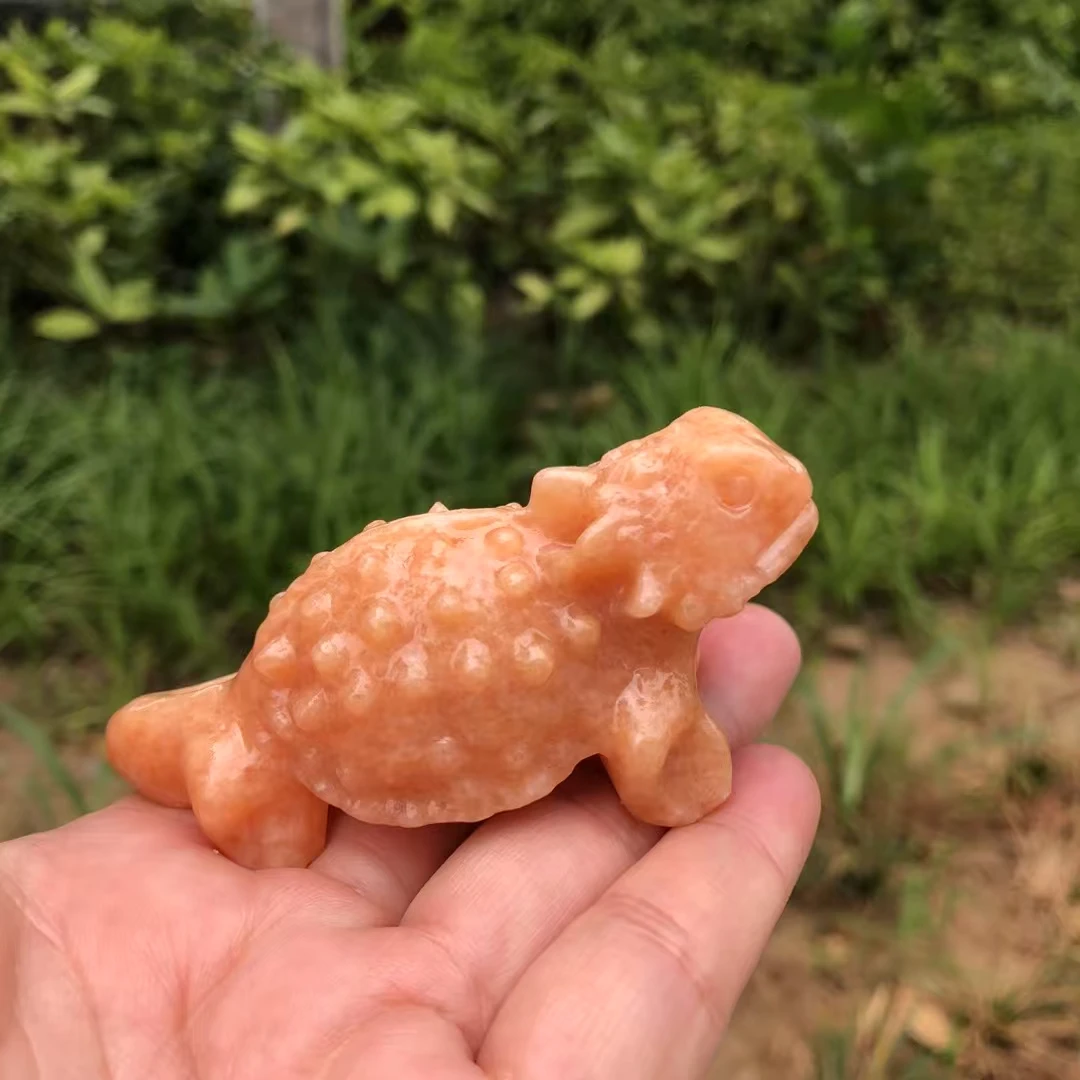 Натуральный кальцит ящерица ручная резная фигурка животного ремесла Рейки Исцеление домашнего декора 1 шт.
Натуральный кальцит ящерица ручная резная фигурка животного ремесла Рейки Исцеление домашнего декора 1 шт.