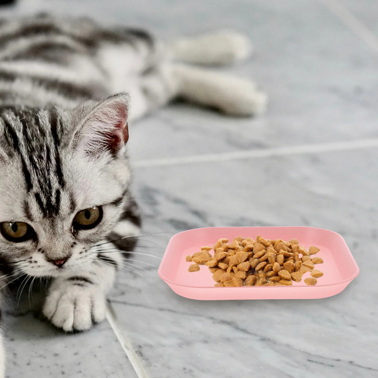 4Pcs Cat Food Plates Shallow Bowls Small Cats Kitten Feeding Bowls Non Slip Stable Indoor Outdoor Pet Dishes Pet Food Bowl
4Pcs Cat Food Plates Shallow Bowls Small Cats Kitten Feeding Bowls Non Slip Stable Indoor Outdoor Pet Dishes Pet Food Bowl