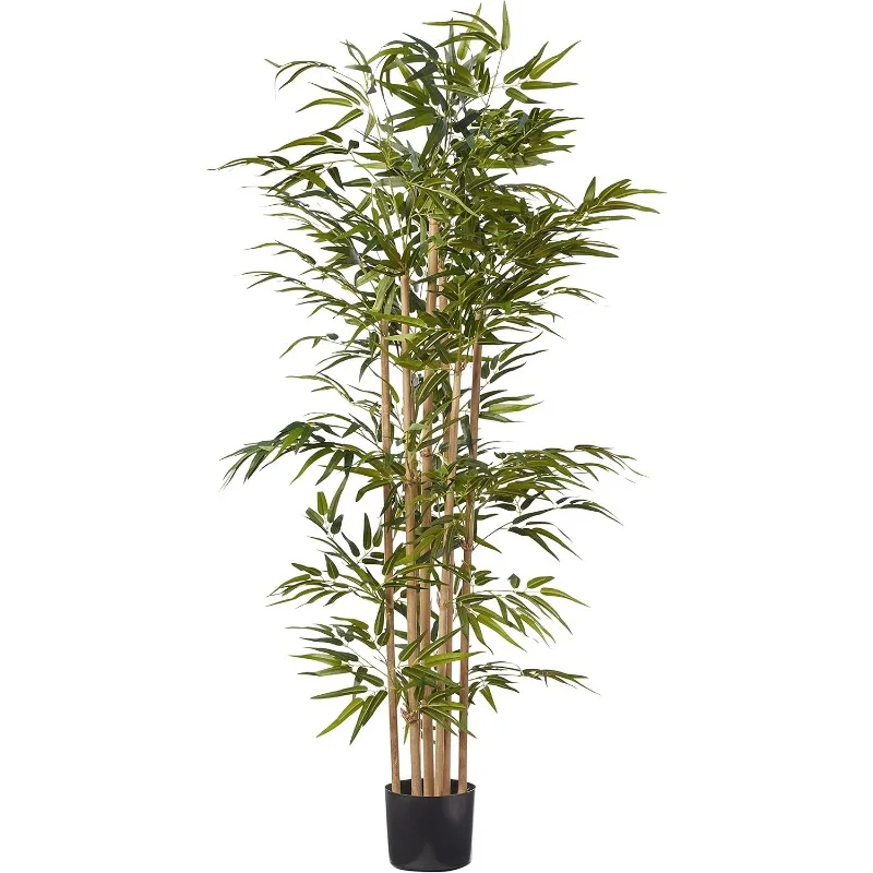 Bamboo Silk Tree, 64-Inch, Green Trees for Modern Home Office Living Room Floor Decor Indoor
Bamboo Silk Tree, 64-Inch, Green Trees for Modern Home Office Living Room Floor Decor Indoor