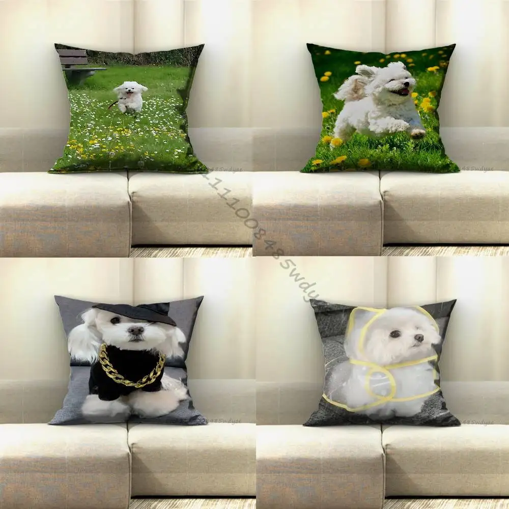 Maltese Dog Puppy Cute A Pillow Case For Home Bedroom Car Office Decoration Living Room Sofa Cushion Cover Suitable
Maltese Dog Puppy Cute A Pillow Case For Home Bedroom Car Office Decoration Living Room Sofa Cushion Cover Suitable