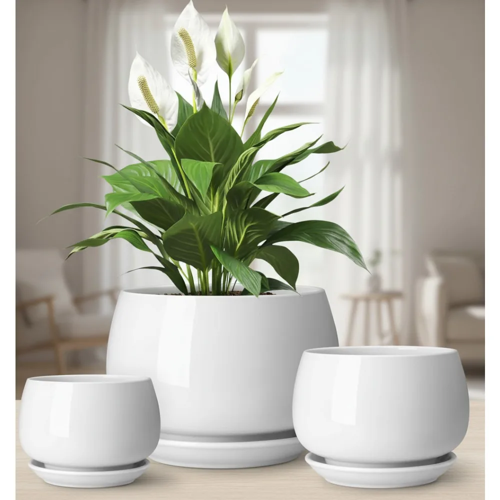 3-Pack Ceramic Plant Pots with Saucers, 3.7/4.8/6.2 Inch Indoor Planters for Succulents Herbs Flowers Home Decor
3-Pack Ceramic Plant Pots with Saucers, 3.7/4.8/6.2 Inch Indoor Planters for Succulents Herbs Flowers Home Decor