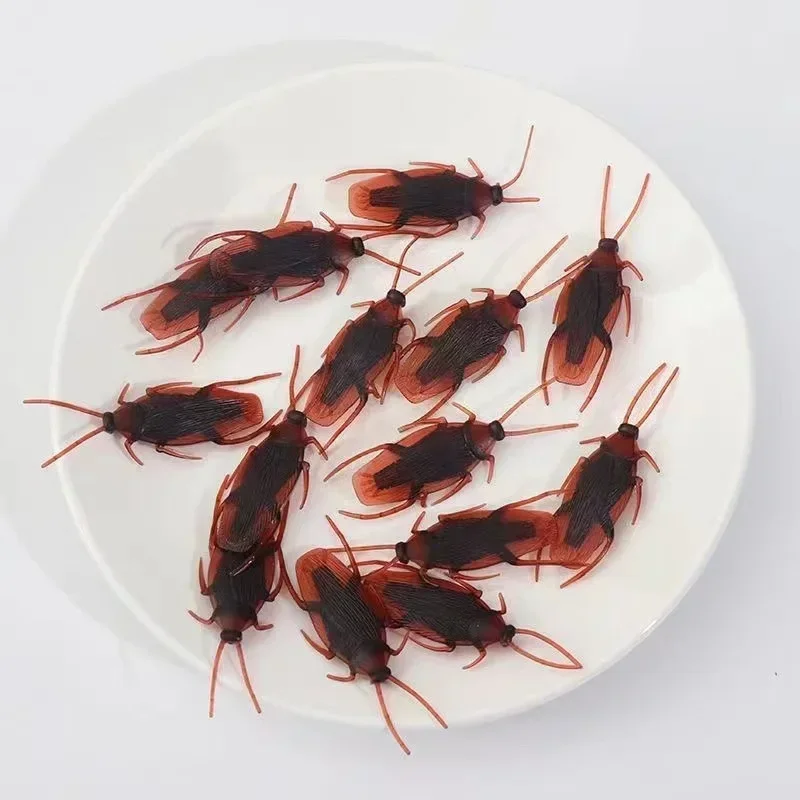 Halloween Party Decoration Cockroach Funny Fake Plastic Pranks Insects Trick Props Artificial Roach Bug Kids Favor Toys 10-30Pcs
Halloween Party Decoration Cockroach Funny Fake Plastic Pranks Insects Trick Props Artificial Roach Bug Kids Favor Toys 10-30Pcs