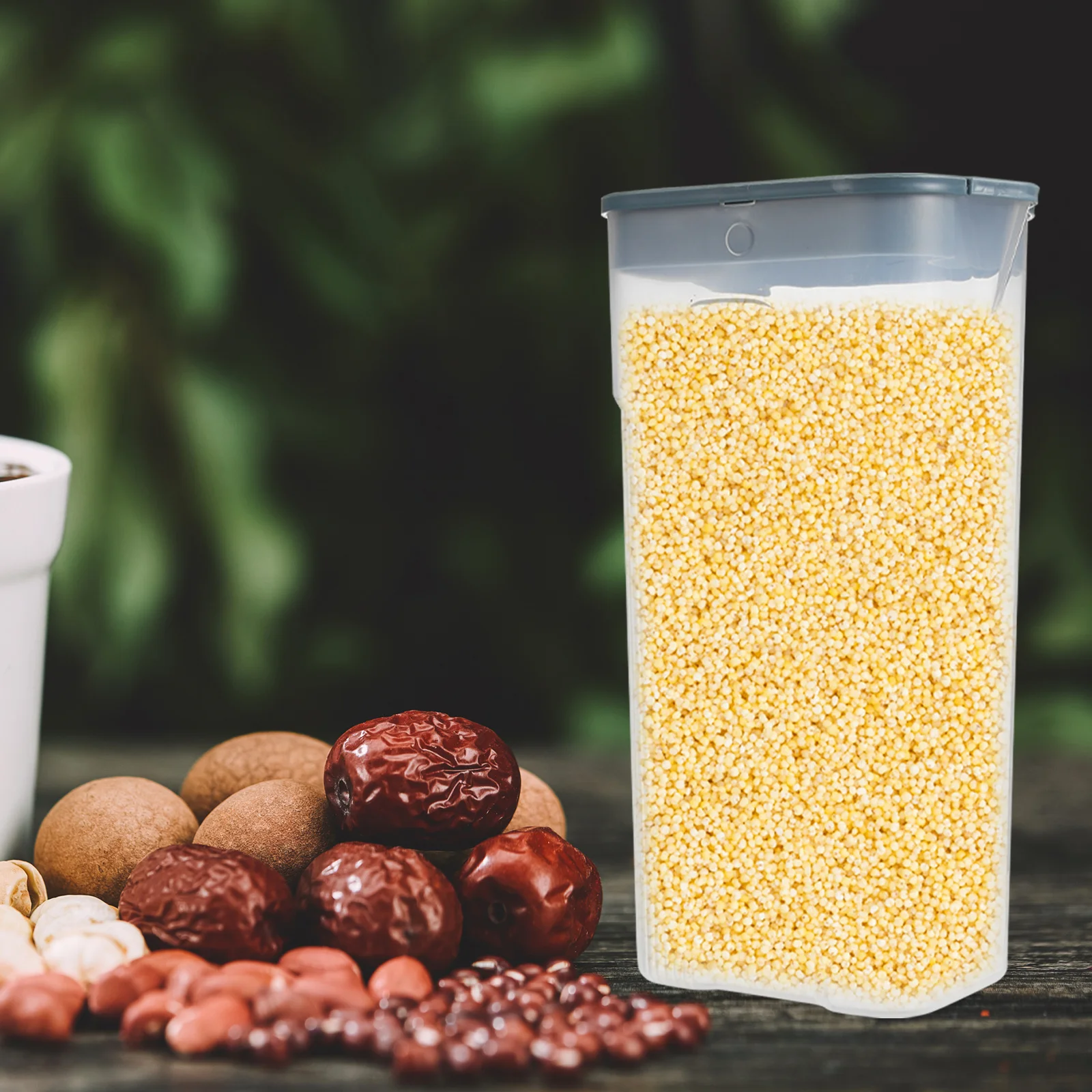 2.5L Plastic Snack Containers Sealed Canisters for Cereal Flour Sugar Coffee Bean Dry Food Storage Airtight Lid Fresh Keeping
2.5L Plastic Snack Containers Sealed Canisters for Cereal Flour Sugar Coffee Bean Dry Food Storage Airtight Lid Fresh Keeping