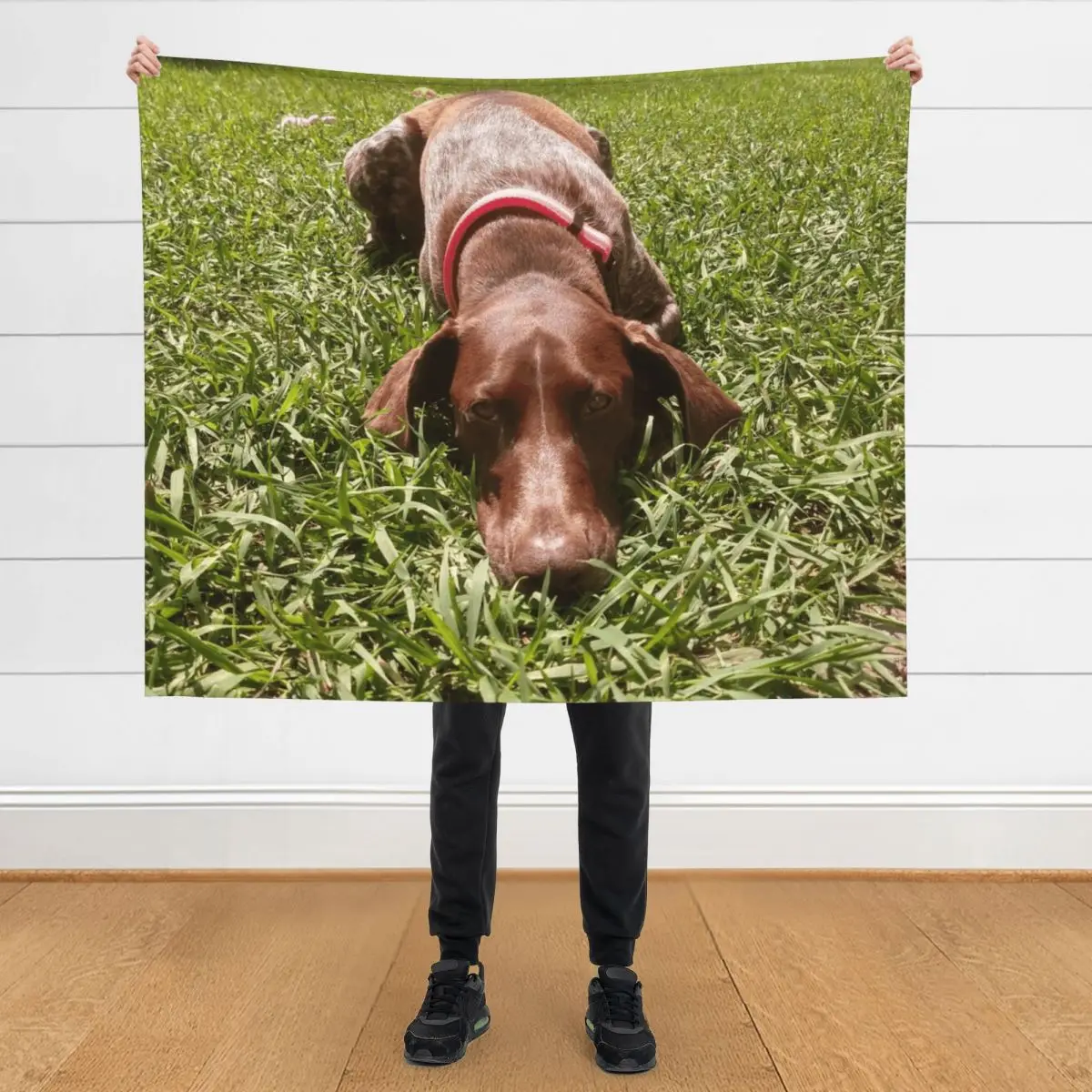 Summer Days with a Sharp-eyed Companion: A German Shorthair Pointer on the Hunt Throw Blanket Furry Flannels Furrys Blankets
Summer Days with a Sharp-eyed Companion: A German Shorthair Pointer on the Hunt Throw Blanket Furry Flannels Furrys Blankets