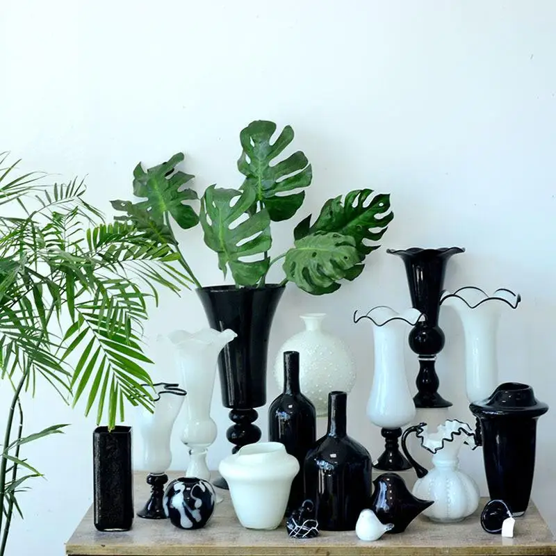 Black And White Series Glass Flower Vase European Color Block Style Home Living Room Bedroom Floral Decoration Accessories
Black And White Series Glass Flower Vase European Color Block Style Home Living Room Bedroom Floral Decoration Accessories