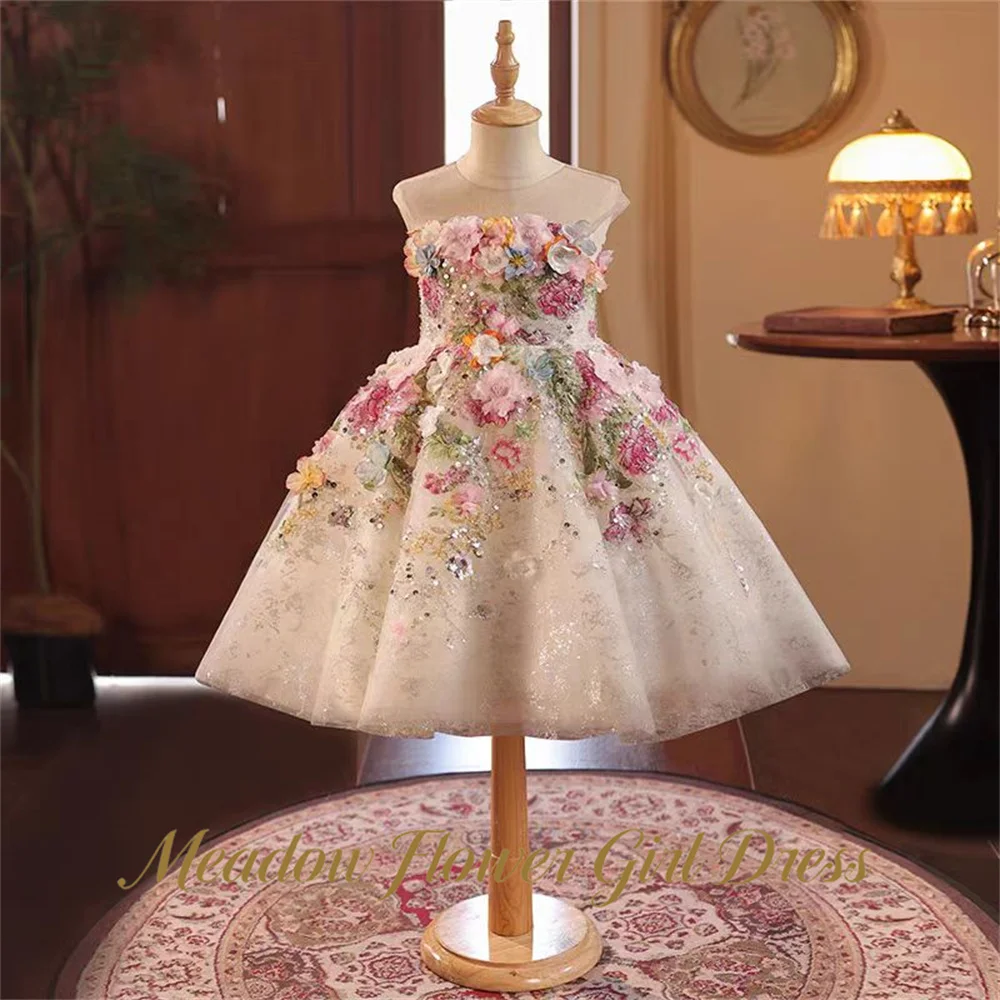 Meadow Round Neck Princess Girls Dress Sleeveless Corset Lace-Up Ball Gown Party Tutu Dresses 3D Floral Tutu Fluffy Prom Gown
Meadow Round Neck Princess Girls Dress Sleeveless Corset Lace-Up Ball Gown Party Tutu Dresses 3D Floral Tutu Fluffy Prom Gown