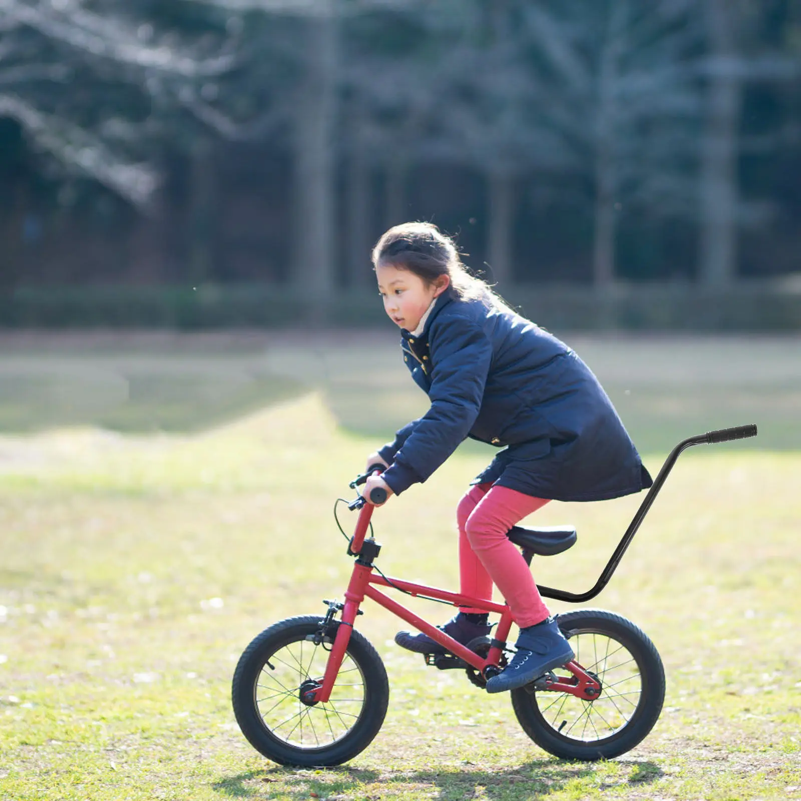 Bike Extension for Push Connector Bicycle Training Wheels Balance Holder
Bike Extension for Push Connector Bicycle Training Wheels Balance Holder